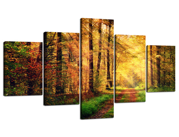 Wall Art Modern Decor Autumn Forest Scenery with Rays of Warm Sun Lights on Shady Trees Woods Art, Wall Hanging for Bedroom Living Room Dorm Wall Painting Decor(70''Wx40''H)