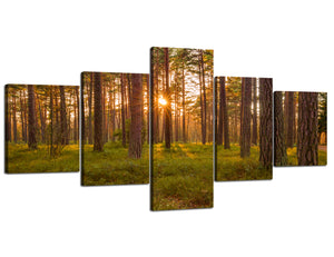 Painting on Canvas Extra Large 5 Pieces Wall Art Artwork Print for Living Room Home Decor Stretched Framed Pine Forest Spring Sunset in Estonia Wall Decor Canvas Painting(50''Wx24''H)