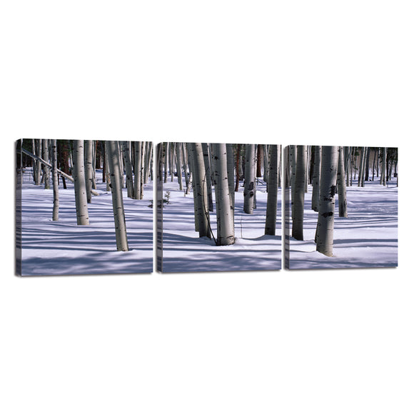 3 Piece Canvas Snow Trees Woods Landscape Wall Art Winter Nature Framed Art Print Forest Picture Painting Modern for Kitchen Office Home Decor Poster Ready to Hang (35