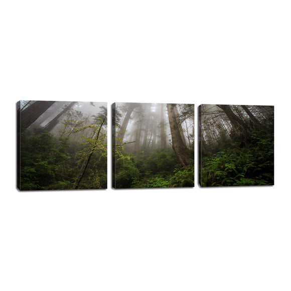 Tree in The Forest Painting 3 Panel Canvas Landscape Wall Art Fog Picture Home Decoration Print Giclee Artwork Living Room Home Decor Wooden Framed Stretched Ready to Hang (35