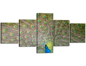 Art The Peacock 5 Piece Modern Stretched and Framed Canvas Prints Artwork Green Animals Pictures Paintings on Canvas Wall Art for Living Room Bedroom Home Decor(50''Wx24''H)
