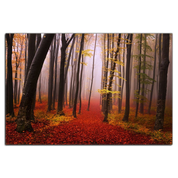 Modern Black White Red Forest Tree Painting, Framed Stretched Ready to Hang, Landscape Canvas Art Wall Pictures Posters and Prints for Living Room Bedroom (20WX30L, P3)