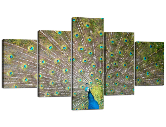 Wall Art Decor for Living Room Oil Painting Canvas Prints of Elegant Proud Peacock on Beige Pictures Thick Frame Artwork Bracket Mounted Ready to Hang(70''Wx40''H)