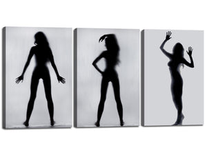 Black and White 3-panel Canvas Wall Print Set Beauty Shadow of a Naked Woman Painting,Framed Stretched Wall Decor Decoration for The Interior,Modern HD Prints Artwork Posters Pictures(48''Wx24''H)