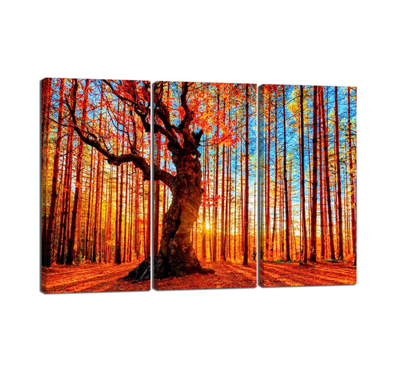 3 Panels High Defination Oil Painting Showing Beautiful Autumn Tree on Canvas Wall Art Modern Wrapped Giclee Atwork Strectched and Framed Ready to Hang - 42