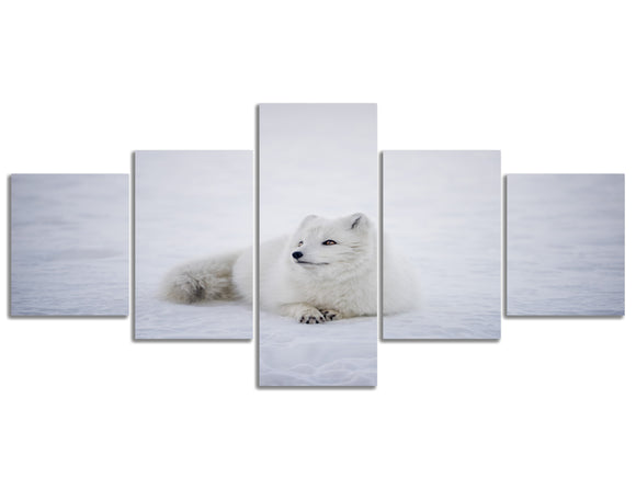 Canvas Printed Wall Art Snow Fox Painting Modern Home Decor 5 Pieces Stretched and Framed Ready to Hang 50